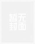 王卫青小说主角